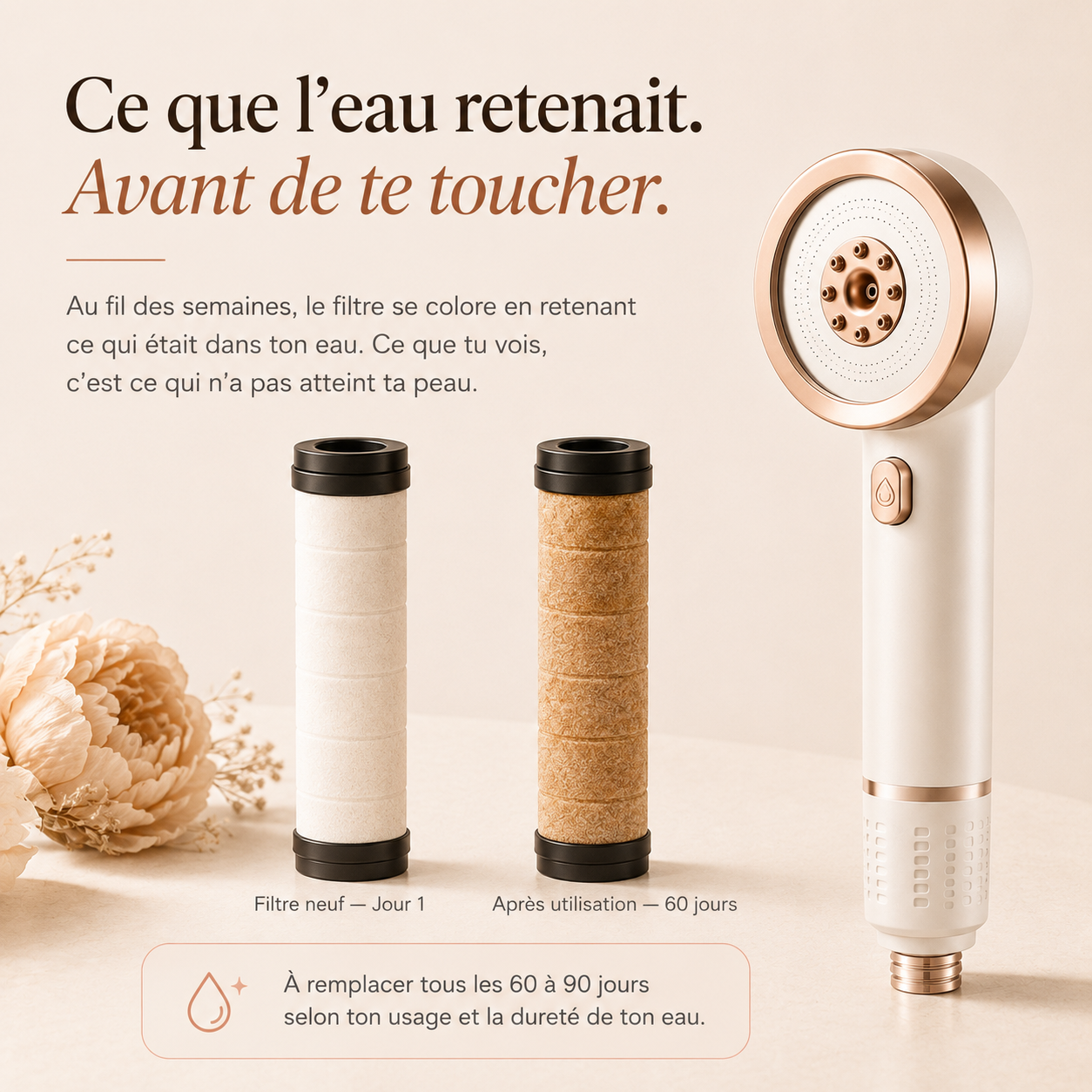 Le Pommeau Filtrant Beauté