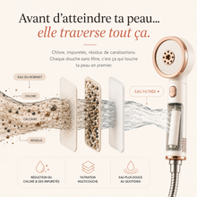 Le Pommeau Filtrant Beauté